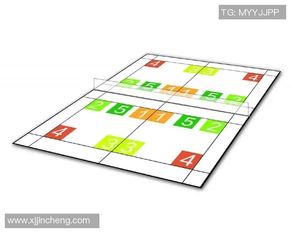 杭州羽毛球队战术表现数据分析与优化策略探讨