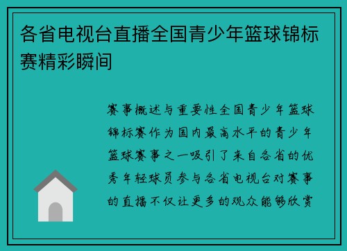 各省电视台直播全国青少年篮球锦标赛精彩瞬间
