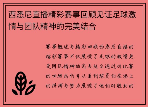 西悉尼直播精彩赛事回顾见证足球激情与团队精神的完美结合